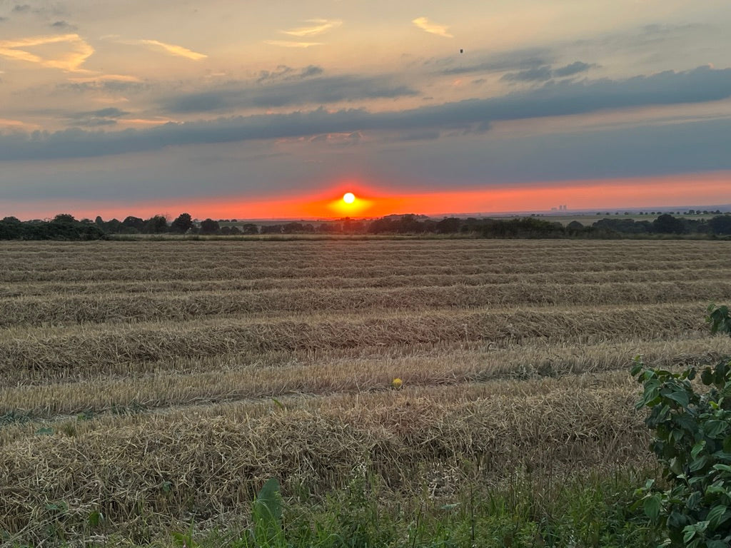 Stroh auf einem Feld im Sonnenuntergang