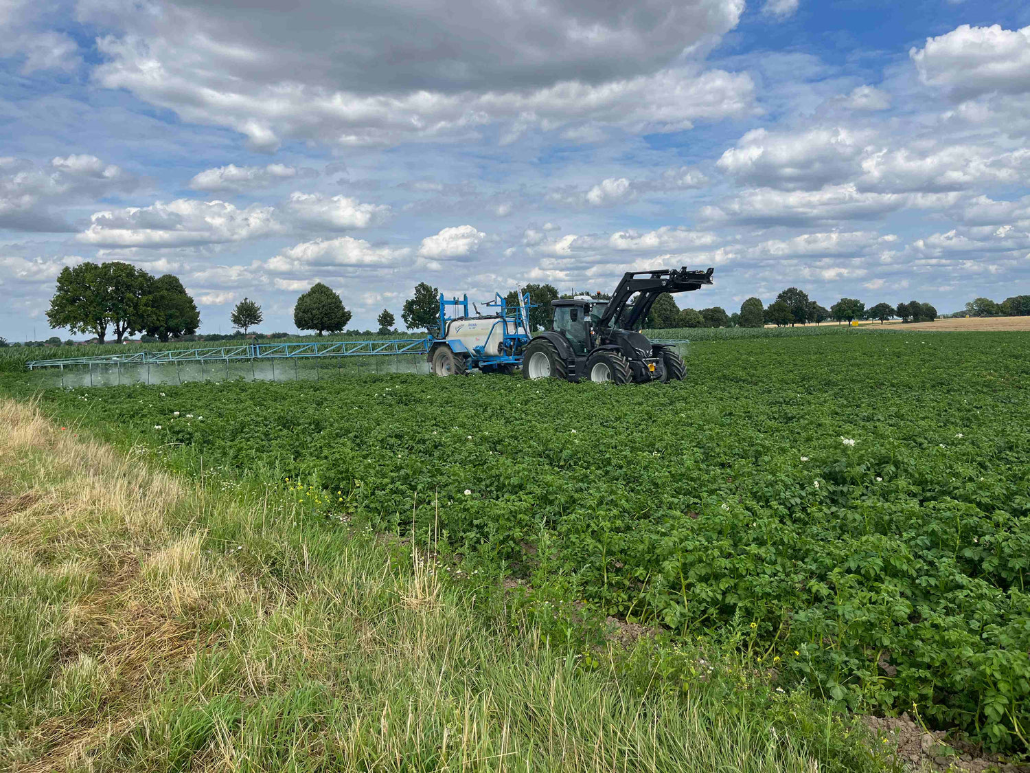 Traktor spritzt auf einem Feld
