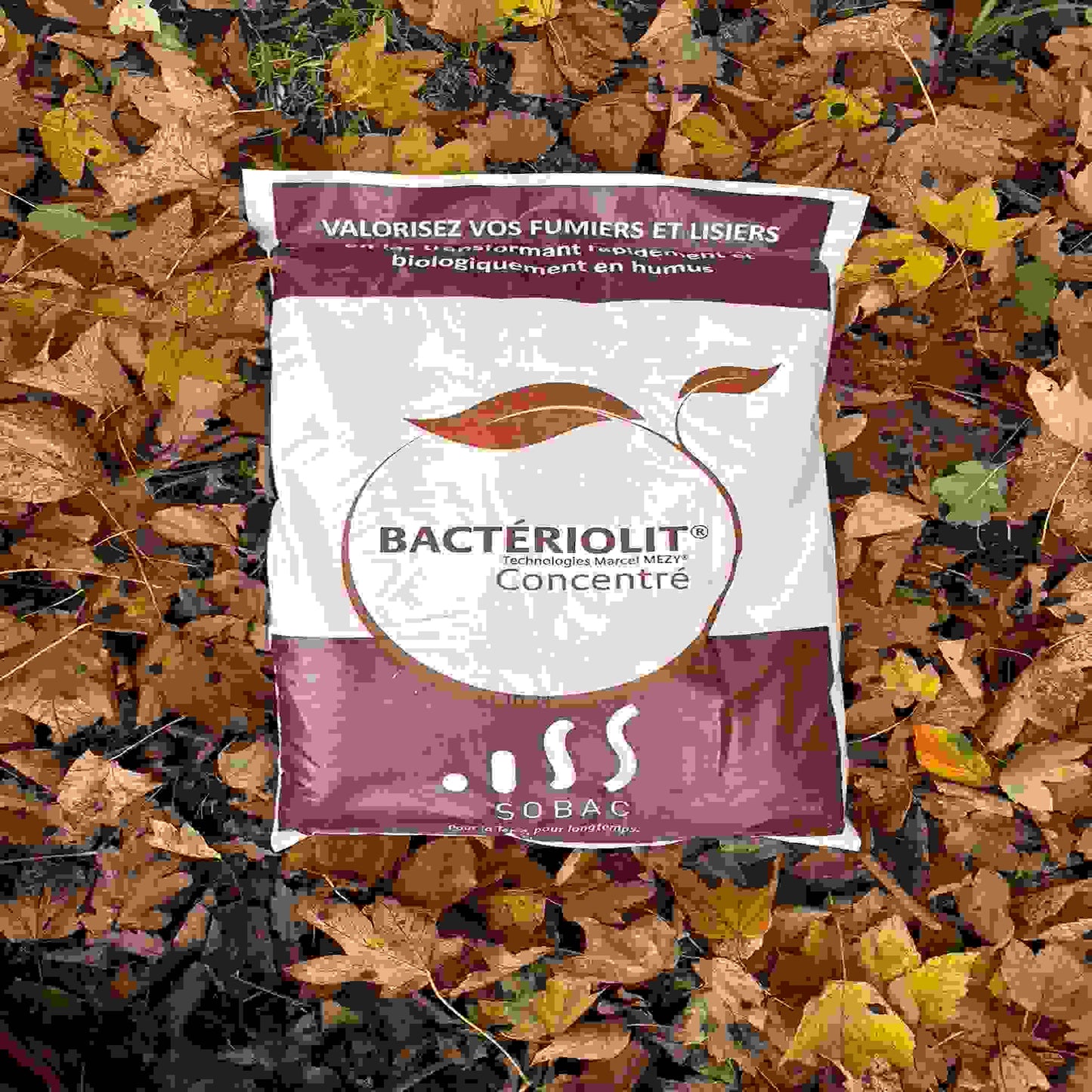Bacteriolit®  Pulver 20kg