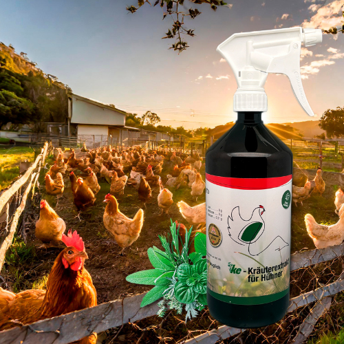 KE-Kräuterextrakt 1000ml - natürliches Wohlbefinden für deine Hühner DE-ÖKO-012