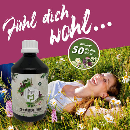 KE Kräuterferment 500ml  5+1x Flasche Gratis